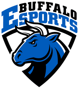 University of Buffalo